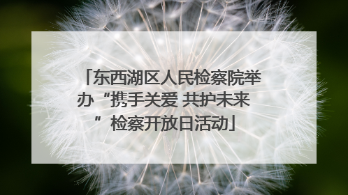 东西湖区人民检察院举办“携手关爱 共护未来”检察开放日活动