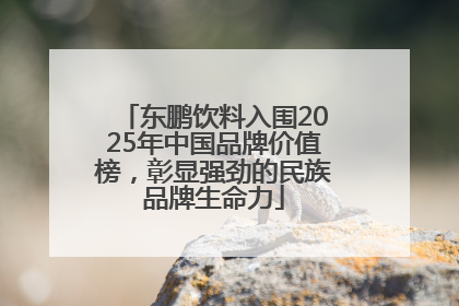 东鹏饮料入围2025年中国品牌价值榜，彰显强劲的民族品牌生命力