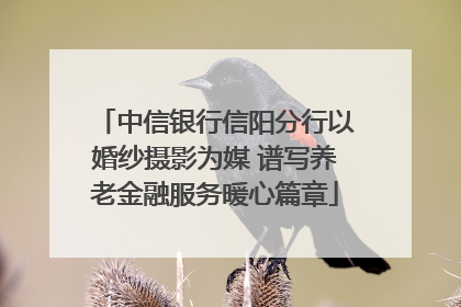 中信银行信阳分行以婚纱摄影为媒 谱写养老金融服务暖心篇章