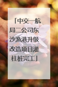 中交一航局二公司东沙渔港升级改造项目灌柱桩完工