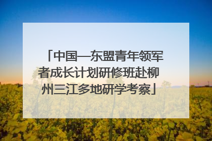 中国—东盟青年领军者成长计划研修班赴柳州三江多地研学考察