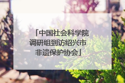 中国社会科学院调研组到访绍兴市非遗保护协会
