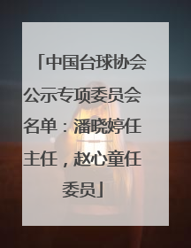 中国台球协会公示专项委员会名单：潘晓婷任主任，赵心童任委员