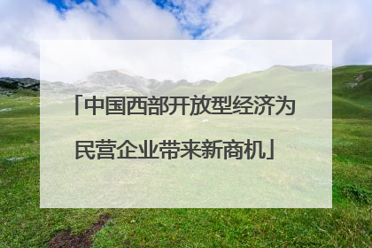 中国西部开放型经济为民营企业带来新商机