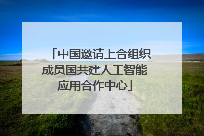 中国邀请上合组织成员国共建人工智能应用合作中心