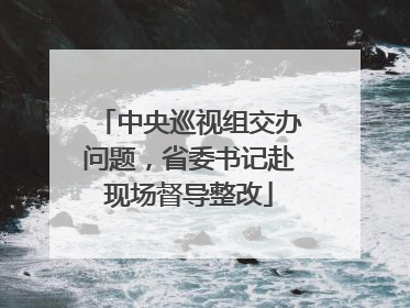 中央巡视组交办问题，省委书记赴现场督导整改