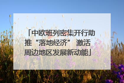 中欧班列密集开行助推“落地经济” 激活周边地区发展新动能