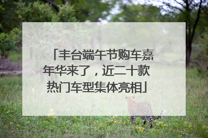 丰台端午节购车嘉年华来了，近二十款热门车型集体亮相