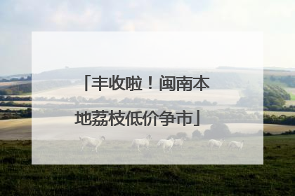 丰收啦！闽南本地荔枝低价争市