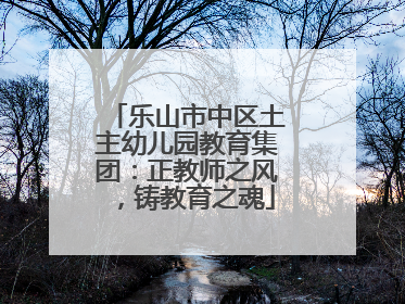 乐山市中区土主幼儿园教育集团：正教师之风，铸教育之魂