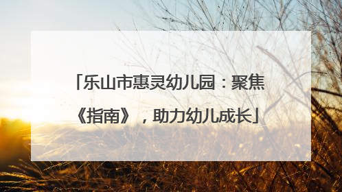 乐山市惠灵幼儿园：聚焦《指南》，助力幼儿成长