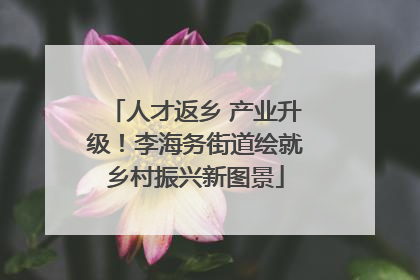 人才返乡 产业升级！李海务街道绘就乡村振兴新图景