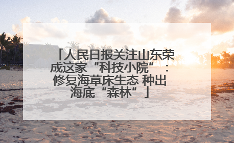 人民日报关注山东荣成这家“科技小院”：修复海草床生态 种出海底“森林”