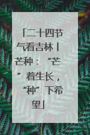 二十四节气看吉林丨芒种：“芒”着生长，“种”下希望