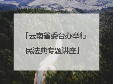云南省委台办举行民法典专题讲座