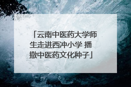 云南中医药大学师生走进西冲小学 播撒中医药文化种子