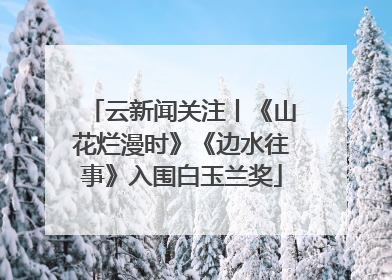 云新闻关注丨《山花烂漫时》《边水往事》入围白玉兰奖