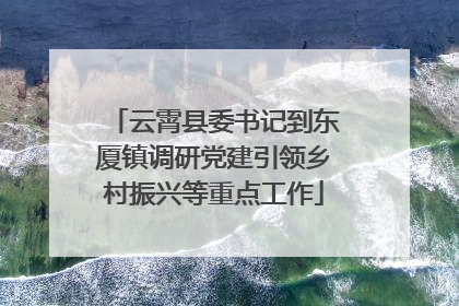 云霄县委书记到东厦镇调研党建引领乡村振兴等重点工作