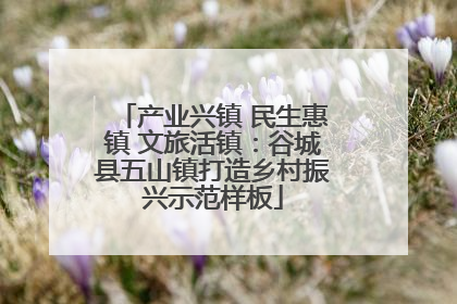 产业兴镇 民生惠镇 文旅活镇：谷城县五山镇打造乡村振兴示范样板
