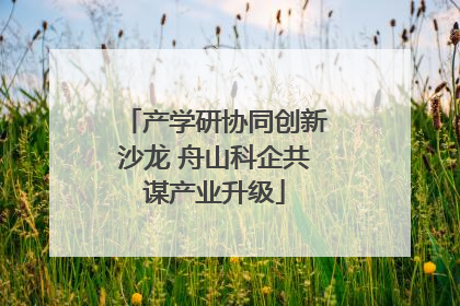 产学研协同创新沙龙 舟山科企共谋产业升级