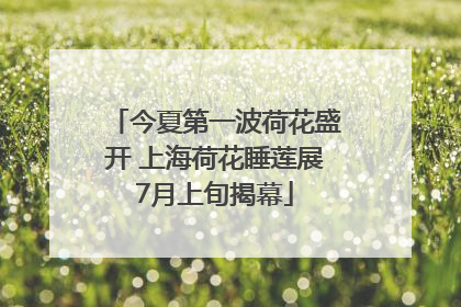 今夏第一波荷花盛开 上海荷花睡莲展7月上旬揭幕