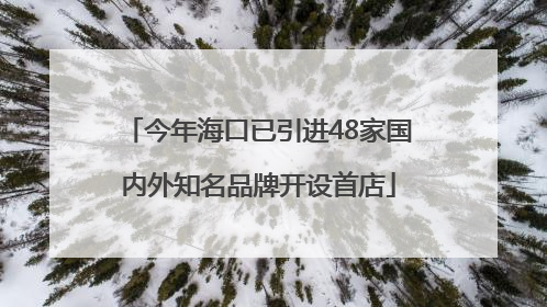 今年海口已引进48家国内外知名品牌开设首店