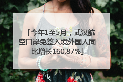今年1至5月，武汉航空口岸免签入境外国人同比增长160.87%