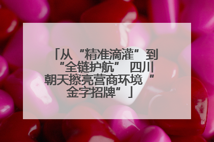 从“精准滴灌”到“全链护航” 四川朝天擦亮营商环境“金字招牌”