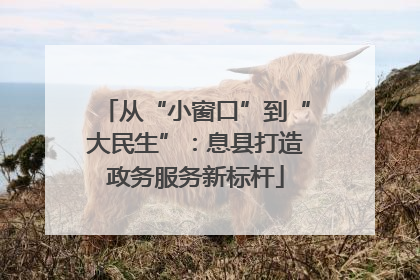 从“小窗口”到“大民生”：息县打造政务服务新标杆