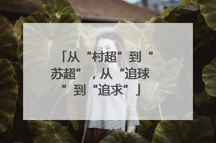 从“村超”到“苏超”，从“追球”到“追求”