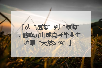从“题海”到“绿海”：鹤峰屏山成高考毕业生护眼“天然SPA”
