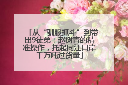 从“驯服抓斗”到带出9徒弟：赵树青的精准操作，托起同江口岸千万吨过货量