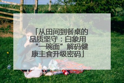 从田间到餐桌的品质坚守：白象用“一碗面”解码健康主食升级密码