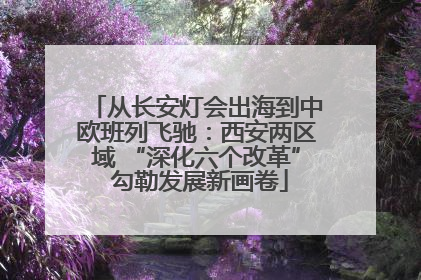 从长安灯会出海到中欧班列飞驰：西安两区域 “深化六个改革” 勾勒发展新画卷