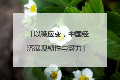 以稳应变，中国经济展现韧性与潜力
