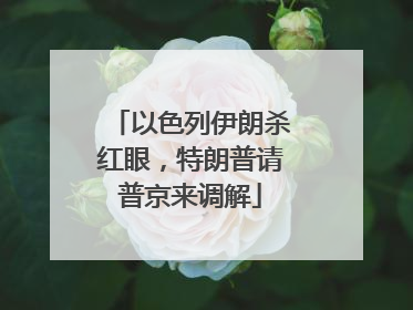 以色列伊朗杀红眼，特朗普请普京来调解