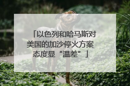 以色列和哈马斯对美国的加沙停火方案态度显“温差”