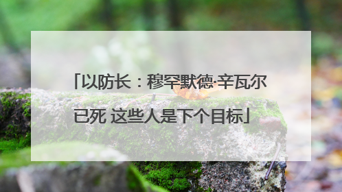 以防长：穆罕默德·辛瓦尔已死 这些人是下个目标