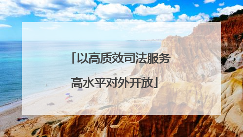 以高质效司法服务高水平对外开放