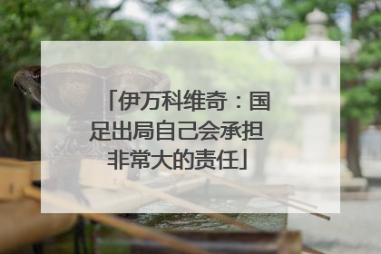 伊万科维奇：国足出局自己会承担非常大的责任