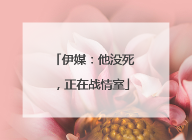 伊媒：他没死，正在战情室