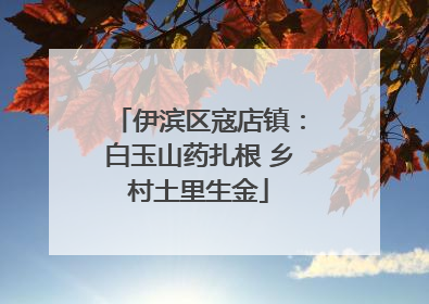 伊滨区寇店镇：白玉山药扎根 乡村土里生金