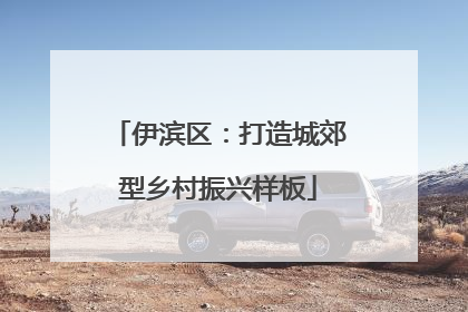 伊滨区：打造城郊型乡村振兴样板