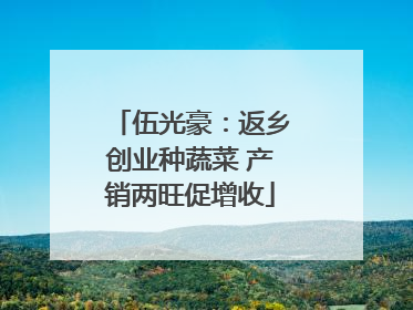 伍光豪：返乡创业种蔬菜 产销两旺促增收