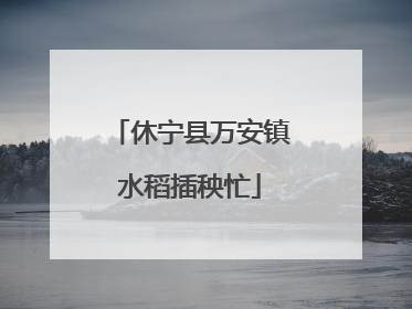 休宁县万安镇水稻插秧忙