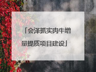 会泽抓实肉牛增量提质项目建设