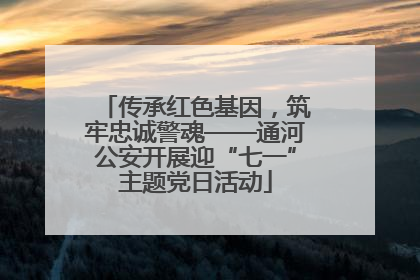 传承红色基因，筑牢忠诚警魂——通河公安开展迎“七一”主题党日活动