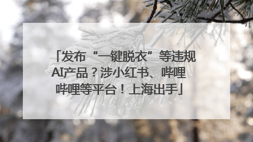 发布“一键脱衣”等违规AI产品？涉小红书、哔哩哔哩等平台！上海出手