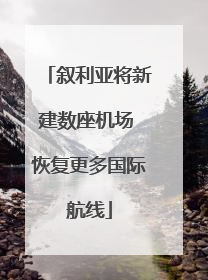 叙利亚将新建数座机场 恢复更多国际航线