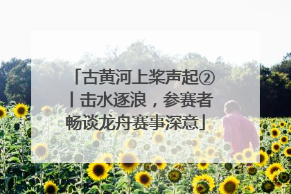 古黄河上桨声起②丨击水逐浪，参赛者畅谈龙舟赛事深意